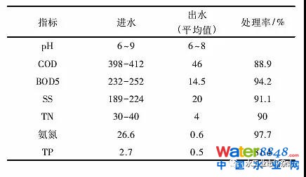 寒冷地区农村分散式污水处理工艺的探讨与实践