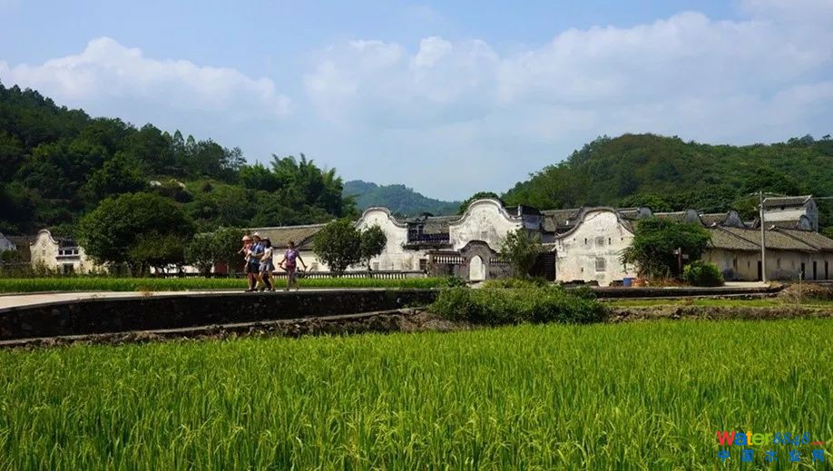 乡村污染治理的技术经济性