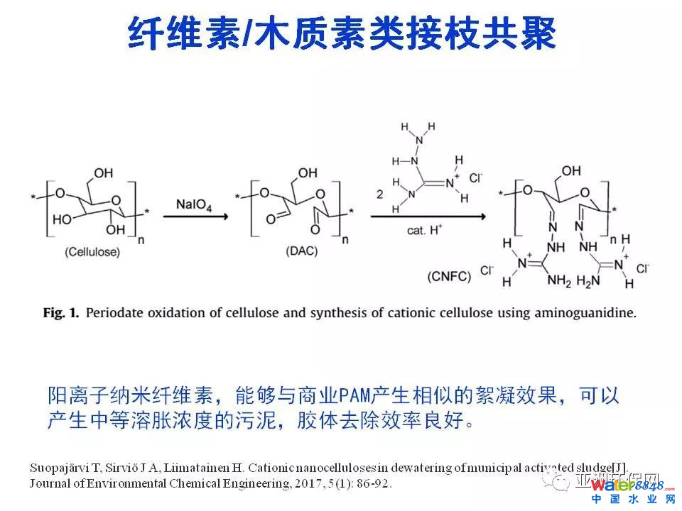 污泥脱水药剂的需求与挑战