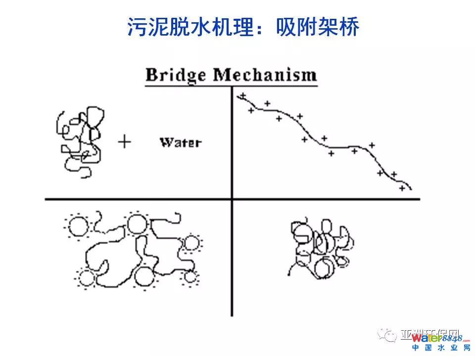 污泥脱水药剂的需求与挑战