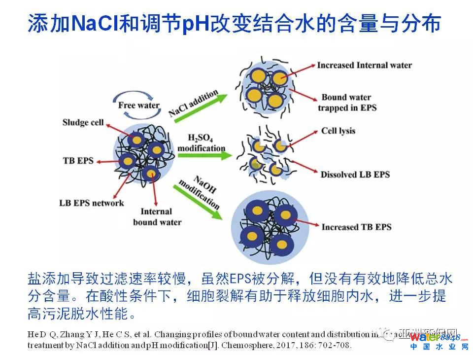 污泥脱水药剂的需求与挑战