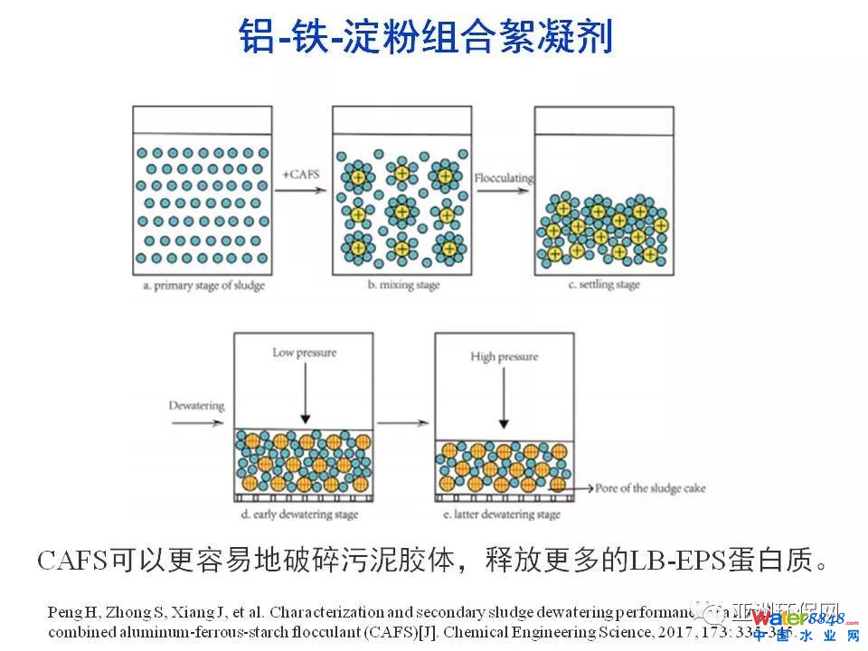 污泥脱水药剂的需求与挑战