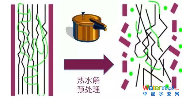 污泥处理