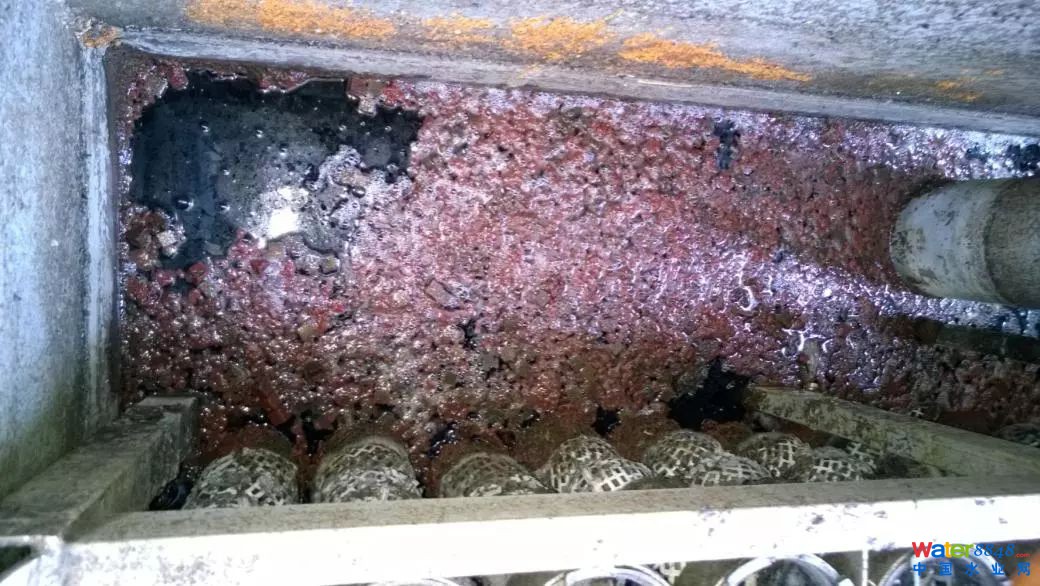 实例 | 高氨氮污泥脱水滤液处理难题怎么破?看厌氧氨氧化工艺效果