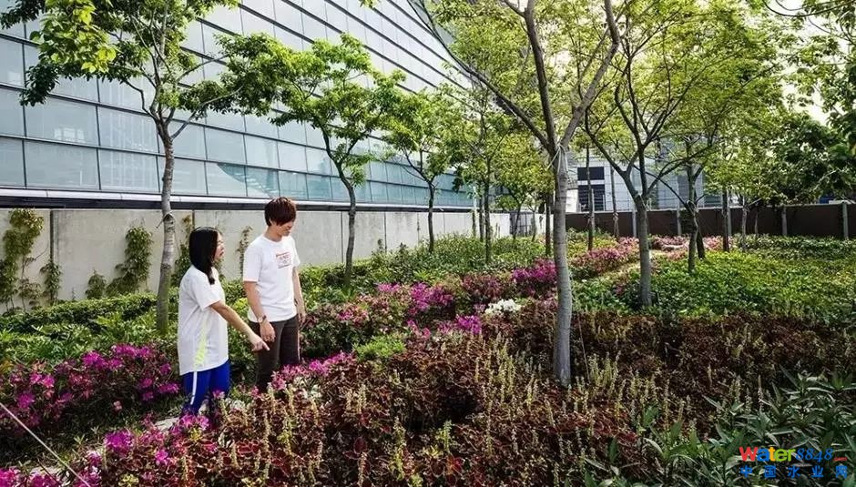 涨姿势|揭秘全球最大污泥处理厂——香港“T˙PARK”