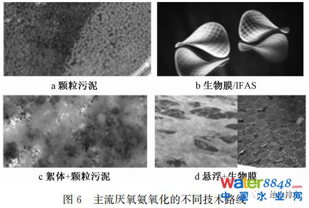 未来污水处理工艺发展的若干方向、规律及应用