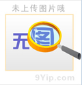 骆季奎团队