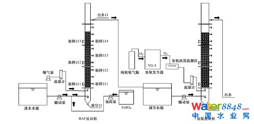 发飙的蜗牛