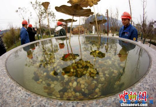 进行第二次处理后的水可以用于养鱼、浇花。 王昊阳 摄 进行第二次处理后的水可以用于养鱼、浇花。 王昊阳 摄