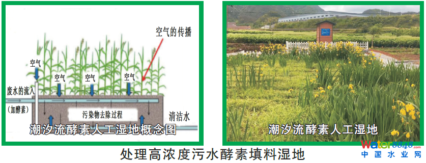 闁绘劗鎳撻崵顕€骞嶉幘宕囩;闁告ḿ鍠庡ù锟�