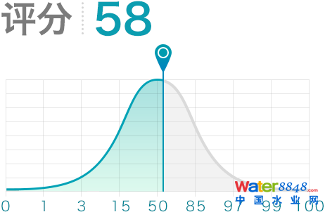 评分58