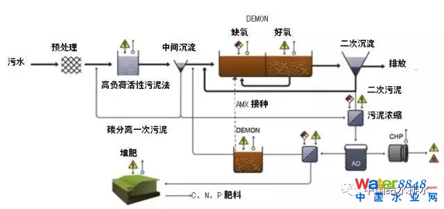 640.webp (10).jpg