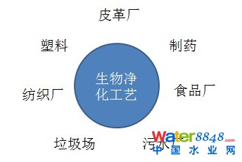 豸