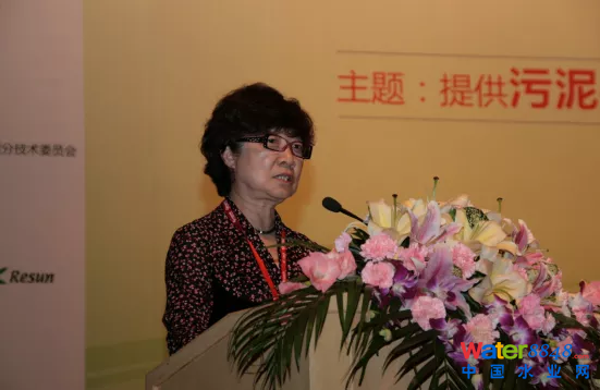 杭世珺在2012年上海水业热点论坛上发言