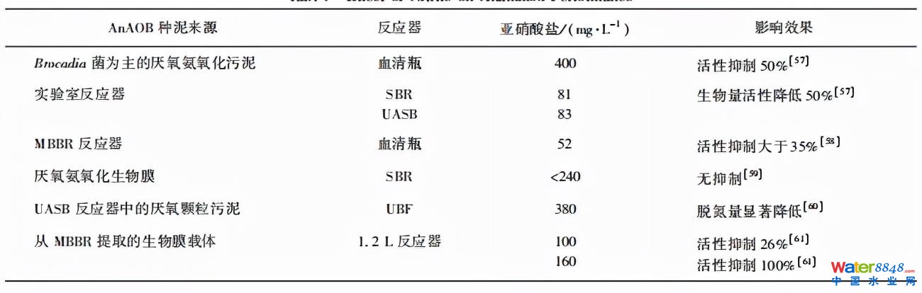 水务看点 | 王胤:主流厌氧氨氧化工艺的研究与应用进展