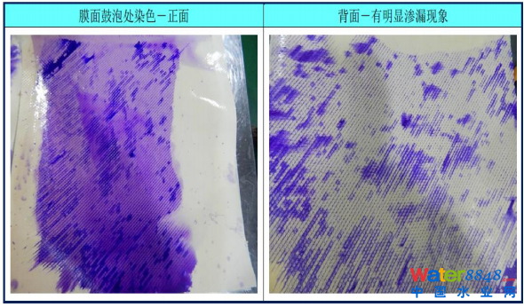 双级联动反渗透系统故障分析