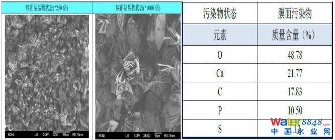 双级联动反渗透系统故障分析