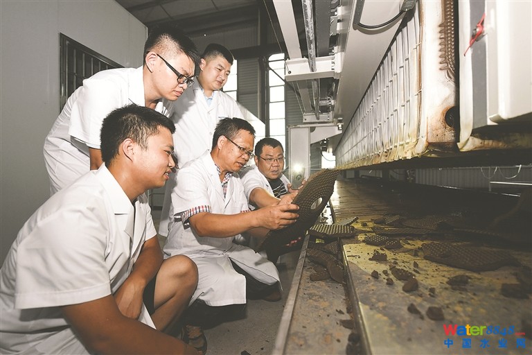 团队成员在工厂进行大生产试验