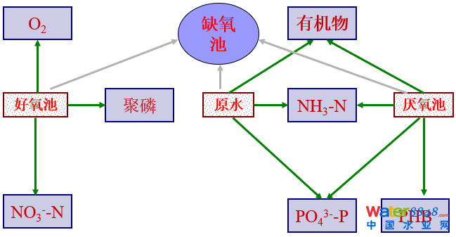 从几个常见现象谈污水处理厂设计和运行的精细化问题