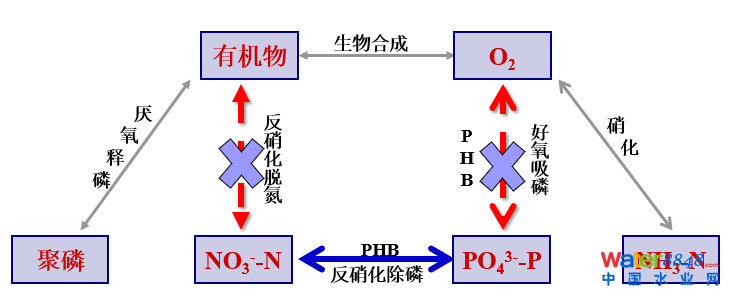从几个常见现象谈污水处理厂设计和运行的精细化问题