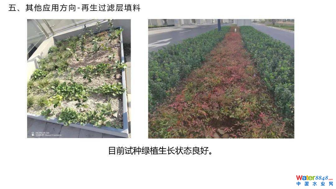 点击打开原图