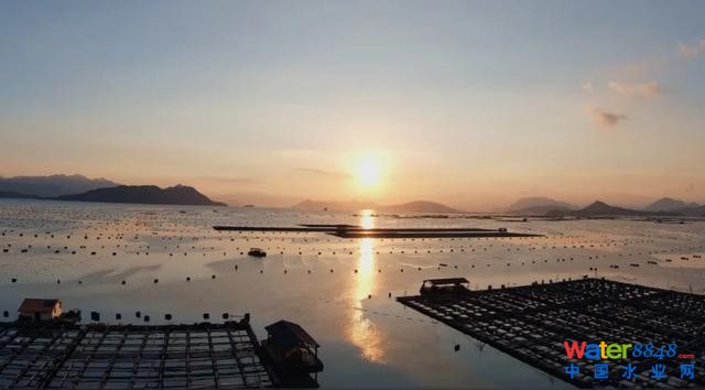 广西卫视对话中国工程院院士高从堦:广西海洋经济大有可为