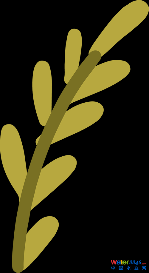 ͼƬ
