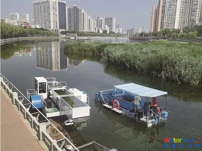 点击打开原图